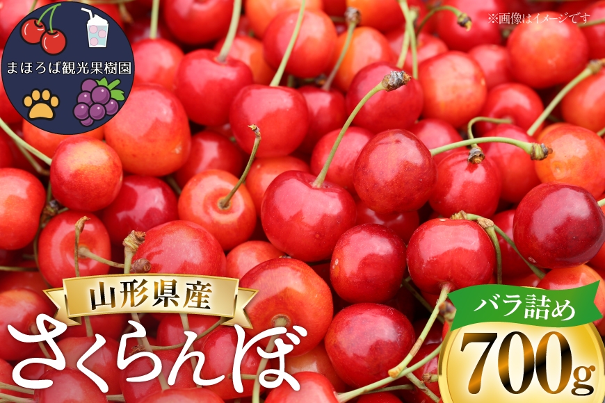 
                  【期間限定発送】 さくらんぼ 朝採り 700g バラ詰め [まほろばかじゅ園 山形県 高畠町 tk06bim610004] サクランボ チェリー 山形 果物 フルーツ くだもの 佐藤錦 紅秀峰
                