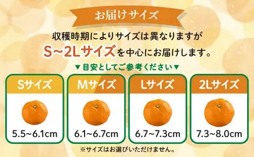 かねひろの黒酢みかん【5kg S～2L サイズ別】先行予約《11月下旬～1月上旬頃発送予定》温州みかん ふるさと納税 みかん 5kg 少量 フルーツ 甘い ジューシー 果物 蜜柑 お取り寄せ 農家直送