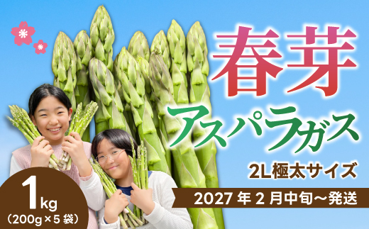 《2027年2月中旬発送》春芽アスパラガス 約1kg （約200g×5袋） 先行受付 アスパラ あすぱら グリーンアスパラ 春芽 甘い 新鮮 野菜 サラダ ソテー ヘルシー 旬 春 ギフト 贈答用 広