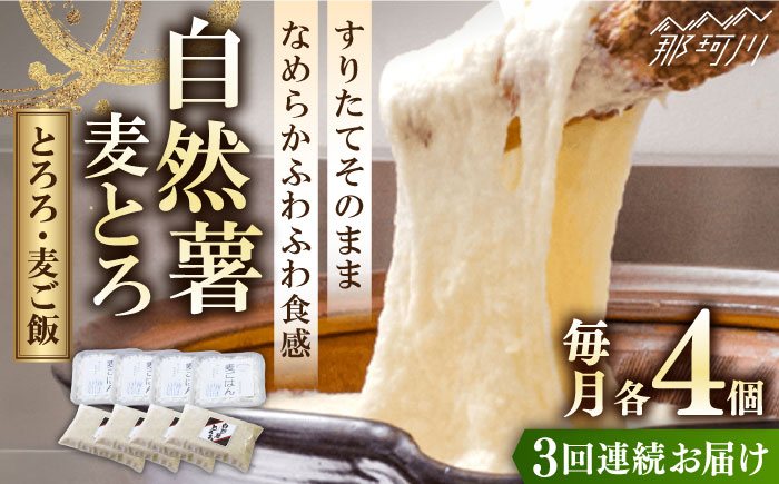 【全3回定期便】【那珂川市産自然薯使用】自然薯麦とろセット（4人前）＜自然薯王国＞那珂川市 [GAH009]