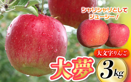 【11月中旬頃より順次発送】大文字りんご園 大夢（おおゆめ）約3kg (7～10玉)/   リンゴ【dma513-l-oy-3C】