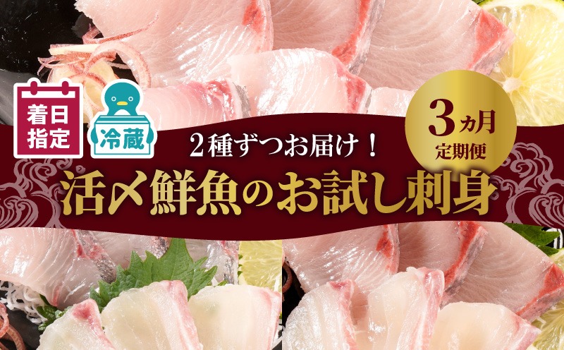 人気のお刺身3ヶ月定期便 少量2種ずつお届け N019-YC911