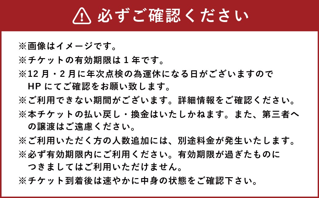 身延山ロープウェイ 大人往復乗車券2枚
