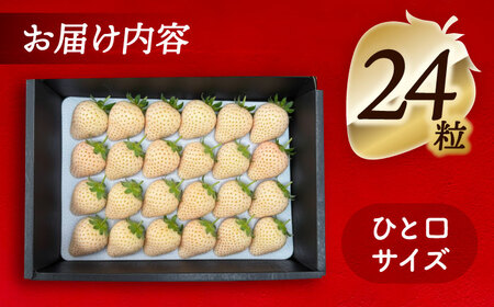 【先行予約】 ＼毎年1月より順次発送／ 白いちご　White Fairy 24粒 果物 いちご フルーツ 愛西市 / くぼ苺農園 【配達不可：北海道・沖縄・離島】[AECJ018]