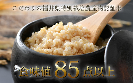 【令和6年産】コシヒカリ 玄米 5kg×2袋（計10kg） 特別栽培米 農薬不使用 化学肥料不使用 ／ 残留農薬ゼロ 高品質 福井県産 ブランド米 玄米 [aw063-c006]