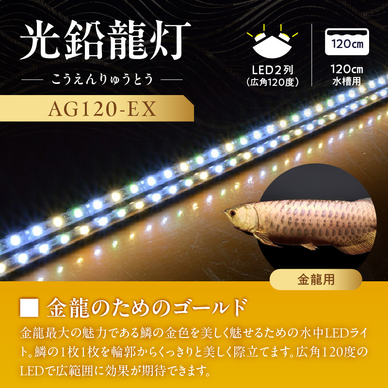 水槽全体を明るく照らし、鱗を際立たせる!金龍専用の高輝度水中ライト|AG120-EX 金龍 専用 プレミアムゴールド 水中 アロワナ 高輝度 水槽ライト テンニングライト グラデーション 3色 LED ライト 照明 水中照明 光 綺麗 強化ガラス 吸盤 1年保証 簡単 設置 でんらい インテリア 雑貨 愛知県 小牧市 送料無料