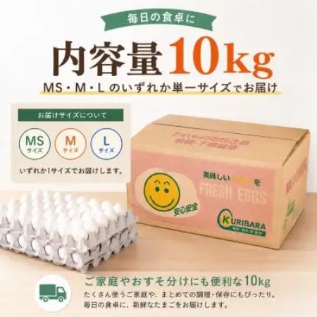 くりばらの毎日たまご10kg(MS・M・Lいずれか単一サイズ)【配送不可地域：離島】【1748492】