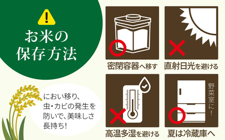 【令和8年産】 かほくこまち 5kg 【2027年2月配送】 | お米 米 かほくこまち