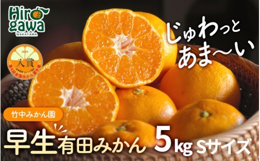 早生 有田みかん5kg (Sサイズ)【tkn004-gif-s-5A】