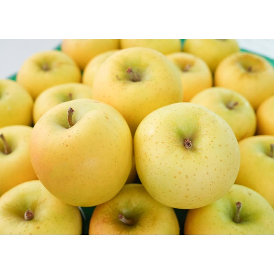 シナノゴールド贈答用10kg/平均糖度13度以上(３月発送)