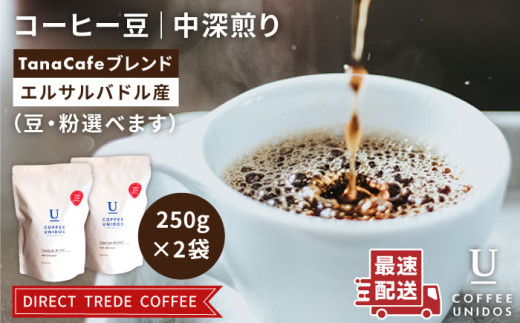 【細挽き】中深煎り コーヒー 豆 タナカフェブレンド 250g × 2袋（ 豆 ・ 粉 選べます ） 《糸島》 【COFFEE UNIDOS】 [AQF011-2]