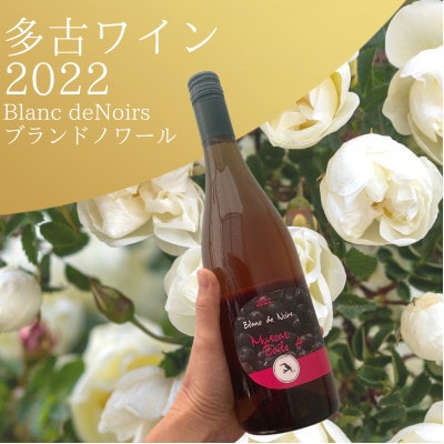 多古ワイン2022・マスカット ベーリーA 【Blanc deNoirs・ブランドノワール】【配送不可地域：離島・沖縄】【1371715】