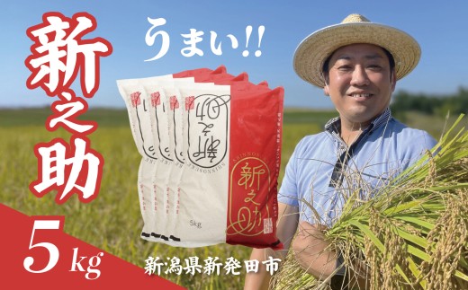 【最短1週間発送!】 令和7年産 新之助 5kg お米 こめ ご飯 ごはん おいしい 新潟 新潟県 米 5kg 新発田産 新潟産 朝食 昼食 夕飯 炊きたて 精米 ブランド watasho007_2025