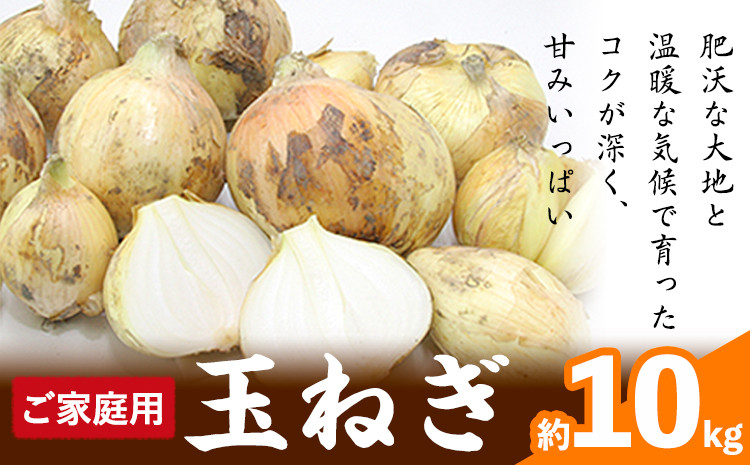 
            ご家庭用玉ねぎ 約10kg サンファーム《2025年5月上旬-8月中旬頃出荷》和歌山県 紀の川市 ※着日・着曜日指定不可※
          