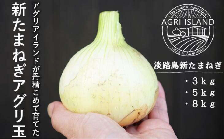 【ふるさと納税】【量が選べる！新玉予約！】淡路島新たまねぎアグリ玉◆配送3月下旬〜