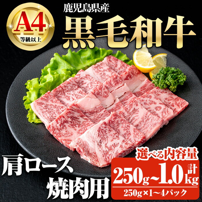 【ふるさと納税】＜内容量が選べる！＞鹿児島県産黒毛和牛A4等級以上肩ロース焼肉用 (計250g～計1.0kg・250g×1P～4P) 国産 鹿児島県産 牛 小分け 冷凍 牛肉 黒毛和牛 肩ロース 焼肉【ビーフ倉薗】