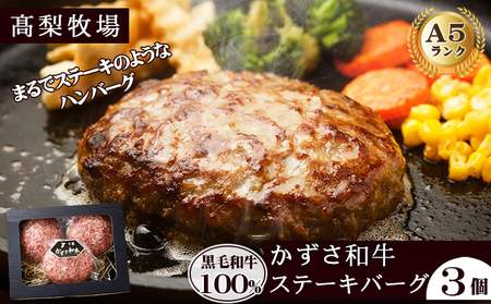 【高梨牧場】A５ランクかずさ和牛100％仕込み『ステーキバーグ（ハンバーグ）』150g×３個　[0010-0343]