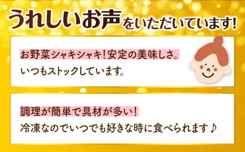 あの人気店の味をおうちで！【12回定期便】ちゃんぽん・皿うどんセット4食セット（各2食）【リンガーフーズ】 [FBI016]