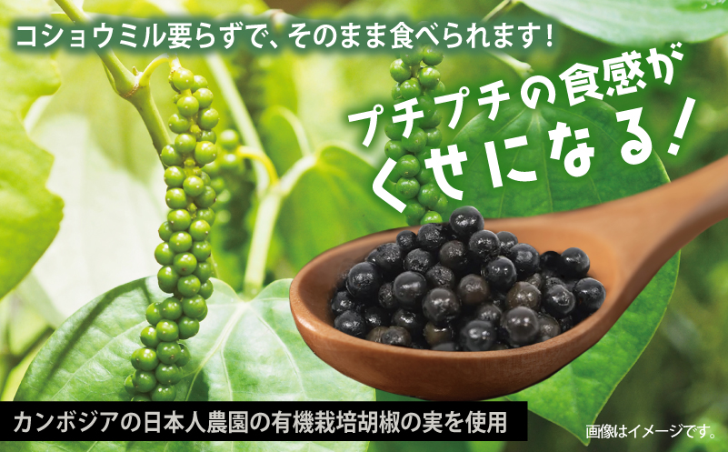生胡椒 塩漬け 50g×1P【コショウ こしょう カンポットペッパー スパイス カンボジア】