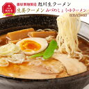 【ふるさと納税】旭川生ラーメン 生姜ラーメンみづのしょうゆラーメン ラーメンスープ付 2人前×6袋 藤原製麺製造_01529 | 旭川ラーメン ラーメン 生ラーメン 生姜 醤油 しょうゆ 醤油ラーメン しょうゆラーメン お取り寄せ 旭川市 北海道 送料無料