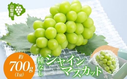 
            【チョイス限定】＜2025年発送＞山梨県 笛吹市 シャインマスカット 1房 約700g 177-6-005 ｜シャインマスカット 葡萄 ぶどう 発送 山梨 笛吹市 果物 フルーツ 新鮮 旬 発送 ブドウ 国産 山梨 笛吹市 葡萄 高級 ぶどう 山梨県笛吹市 果物 白葡萄 高級品種 ブドウ 先行 贈答用 贈答 ギフト｜
          