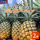 【ふるさと納税】[予約受付]《2025年5月下旬～7月中旬発送》最高糖度18度！？ 完熟の極 石垣島産ジュワリーパイン | 沖縄県 石垣市 石垣島 完熟 パイン パイナップル ジュワリー 予約受付 TF-16-1