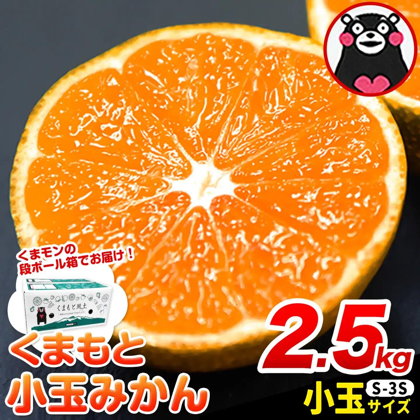 訳あり くまもと小玉みかん 約2.5kg みかん