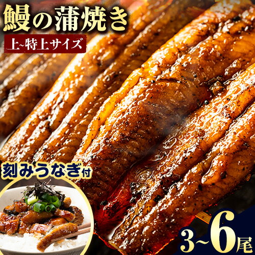 【ふるさと納税】うなぎ 鰻の蒲焼 3尾～6尾 きざみ鰻付 たれ・山椒のセット| うなぎ 鰻 鰻の蒲焼き 高級 蒲焼 国産 選べる 土用の丑の日 ウナギ 送料無料 徳島県 上板町