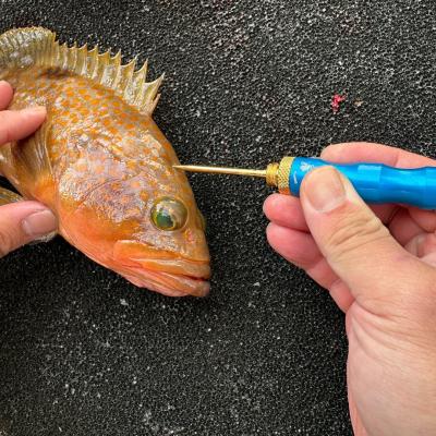 ふるさと納税 三条市 [ベルモント] FISH PICK 一撃コンパクト ブルー フィッシング 【011S195】 |  | 03