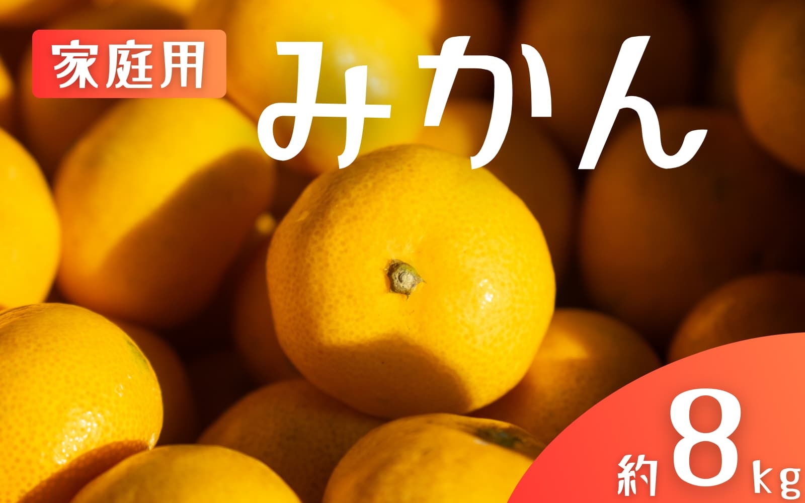 
            【ご家庭用】手選別 温州みかん 約8kg 和歌山県産 2S~2Lサイズ混合※2025年11月上旬～2026年2月中旬ごろに順次発送【mrmt042】 
          