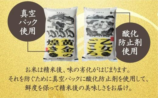 【定期便 6ヶ月】（全6回）令和7年度産 飛騨産コシヒカリ「黄金の煌き」5kg | 米 お米 白米 こしひかり 世界最高米 原料米認定農家 金賞受賞農家 飛騨高山 和仁農園 MF104
