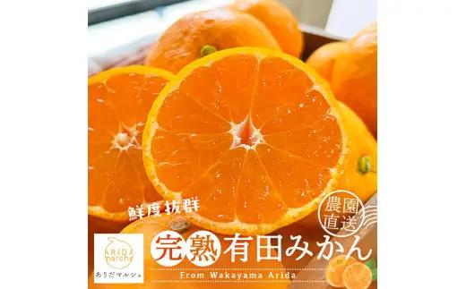 【11月発送】＼先行予約／完熟有田みかん 秀優 5kg+200g ※北海道・沖縄・その他離島地域は発送不可 / 有田みかん ミカン 柑橘 甘い くだもの フルーツ 果物 産地直送 和歌山【ard004-noen-5-11B】