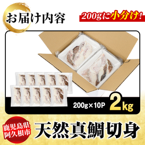 天然真鯛切身(約2kg) 鹿児島県 阿久根市 たい タイ 真鯛 魚貝 魚介 海産物 切身 切り身 煮物 煮つけ 焼き魚 おかず おつまみ 小分け 【さるがく水産】akn028-47