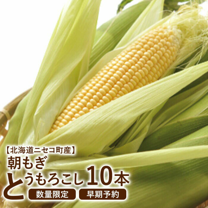 【ふるさと納税】とうもろこし 10本 北海道産 先行受付 野菜 予約 7月下旬 おうち おうちグルメ お取り寄せ ふるさと納税 北海道 ニセコ ニセコ町【0202302】