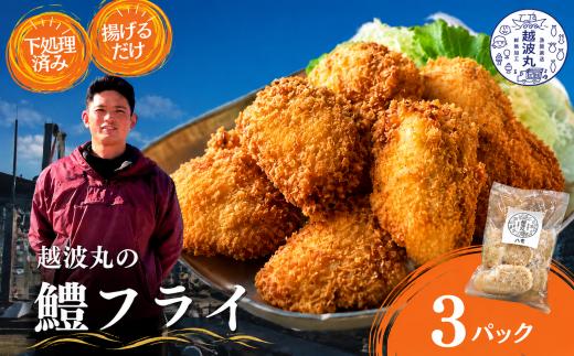 海の幸 鱧 フライ 3パック ｜ 魚 魚介 加工 加工品 フライ 鱧 はも ハモ 下処理済み 簡単調理 おかず 弁当 料理 調理 詰め合わせ 冷凍 冷凍食品 海 瀬戸内 山口県 山口 平生町