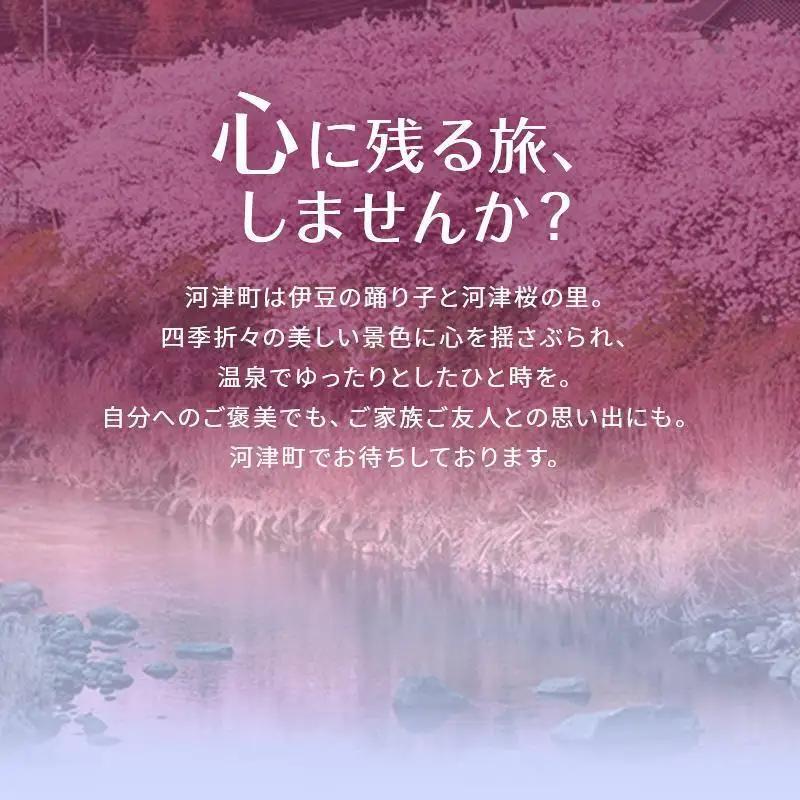 宿泊券 たっぷり河津旅 30000円分 ホテル 旅館 宿泊券