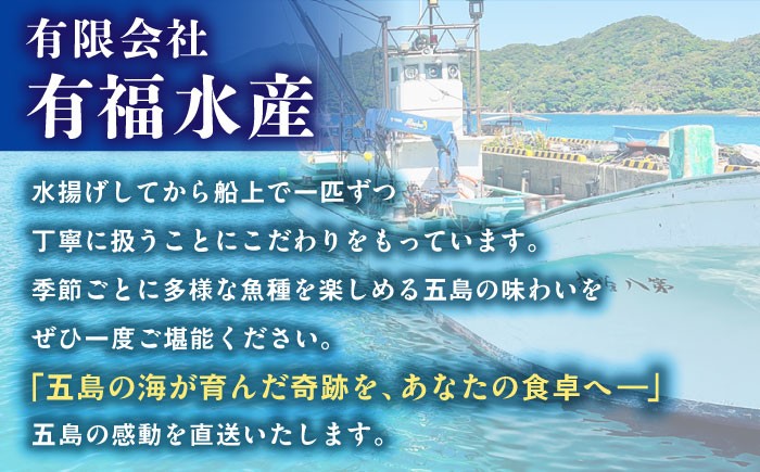 干物セット 約1kg 3～4種 / 魚 海鮮 魚介 上五島
