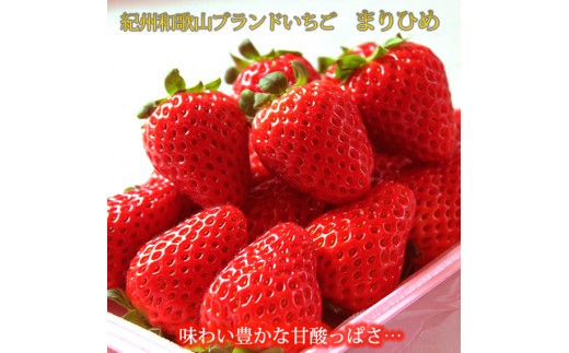 
                  【来シーズン先行予約】紀州和歌山ブランドいちご「まりひめ」約280g×2P ※2027年1月上旬頃〜3月上旬頃に順次発送予定（お届け日指定不可）【uot759】
                