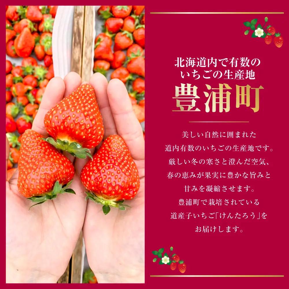 【2027年5月上旬～6月上旬発送予定】いちご「けんたろう」2トレーセット 