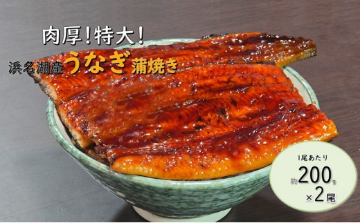 
                  工場直送！特大!!浜名湖産うなぎ蒲焼き 真空パック 約200g×2尾 タレ・山椒付き うなぎ 鰻 ウナギ 蒲焼 冷凍 浜松市 静岡
                