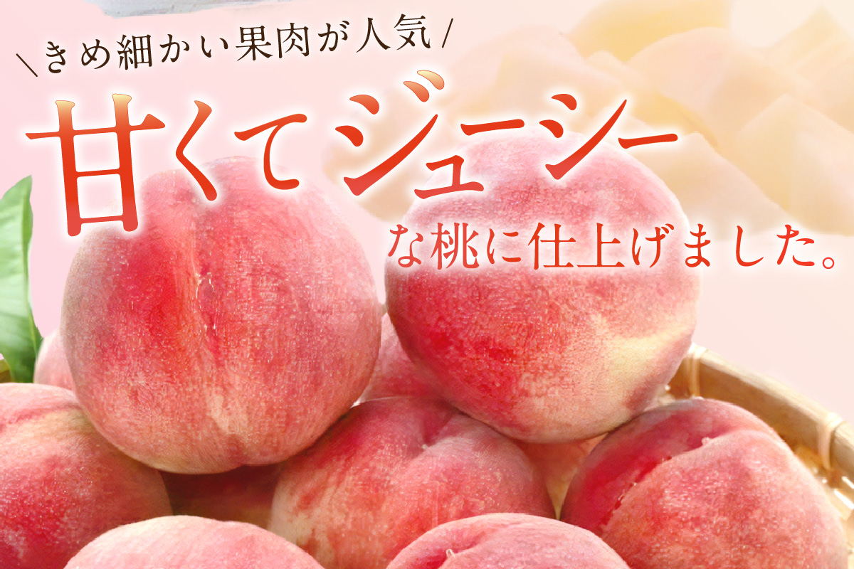 【先行予約】伊万里の桃 2個×6パック B123