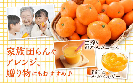 みかん みはや5kg みかん[XCE005]