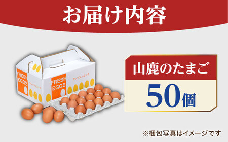 たまご 50個 約3kg【マツヤマエッグファーム】[ZAW005]
