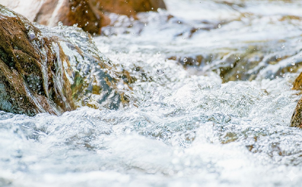 【6ヶ月定期便】天然鉱泉水「信玄」ナチュラルミネラルウォーター