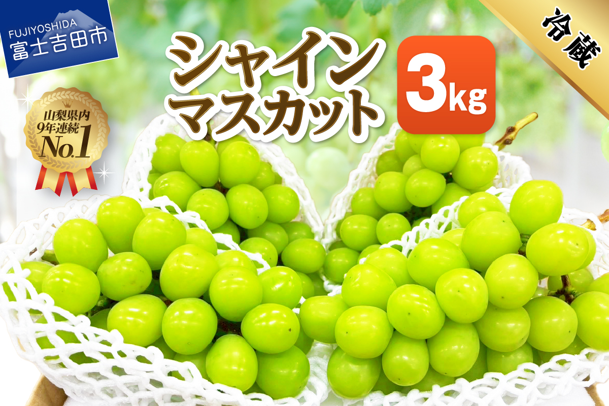 【2026年発送 先行予約】山梨県産シャインマスカット3kg