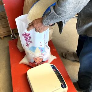 【令和7年産】青森県産あきたこまち 精米　10kg【配送不可地域：離島・沖縄県】【1678887】