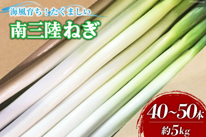 
            【期間限定発送】野菜 南三陸ねぎ 40～50本 5kg前後 [グリーンファーマーズ・宮城 宮城県 南三陸町 30be0001] ねぎ 長ネギ 長ねぎ 期間限定 
          