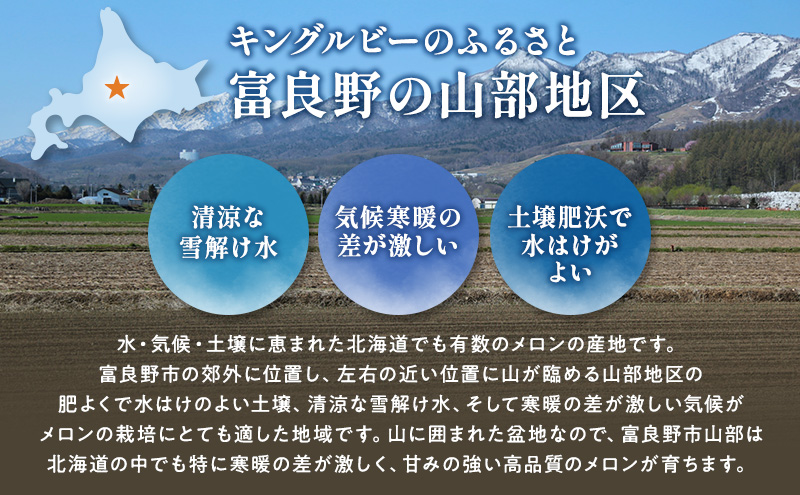 【2026年夏発送】富良野産 赤肉メロン 大玉 2玉（計4kg以上）