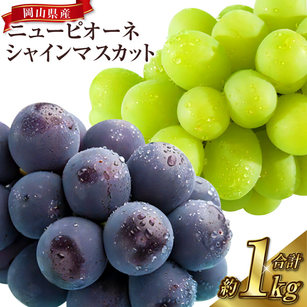 【ふるさと納税】岡山県産 シャインマスカット晴王 ニューピオーネ 各約500g×1房 合計2房 約1kg マスカット ぶどう ブドウ 葡萄 シャインマスカット フルーツ 果物 くだもの 果実 種なし 種無し 国産 冷蔵 岡山県 奈義町 送料無料 【2025年8月上旬～10月上旬迄発送予定】