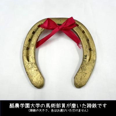 ふるさと納税 江別市 【酪農学園大学】馬術部の蹄鉄(ポストカード・キーホルダー付き)